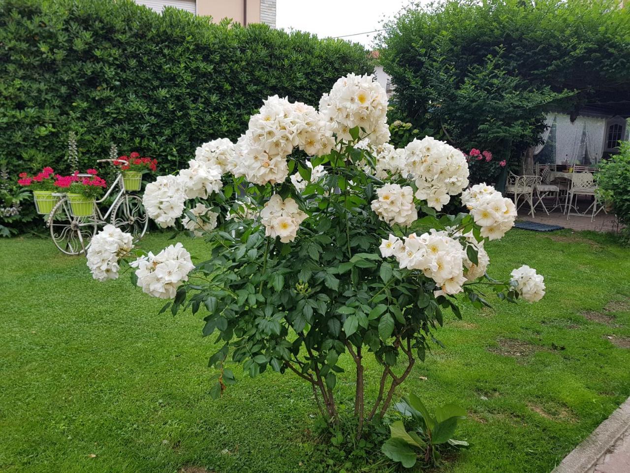 Il Giardino in Città La Spezia Extérieur photo